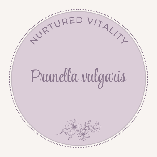 Nurtured Vitality Prunella vulgaris