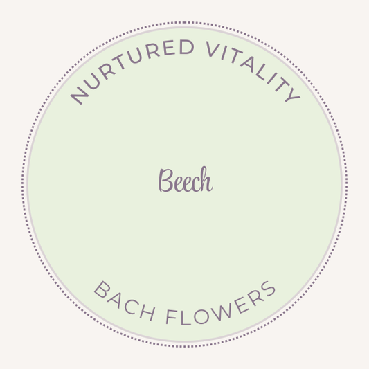 Bach Flower Essence Beech