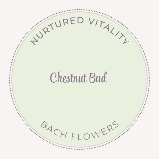 Bach Flower Essence Chestnut Bud