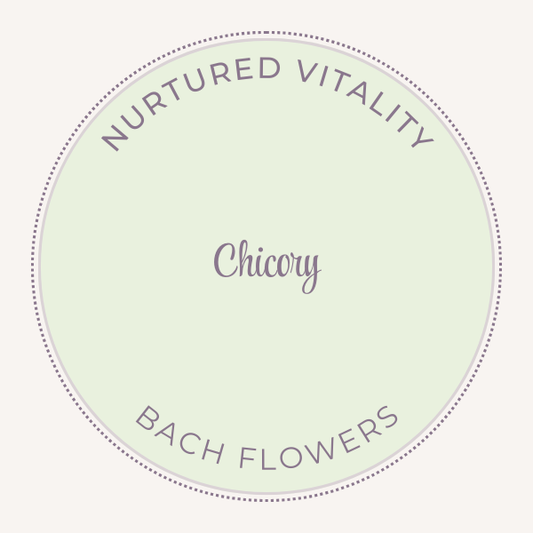 Bach Flower Essence Chicory