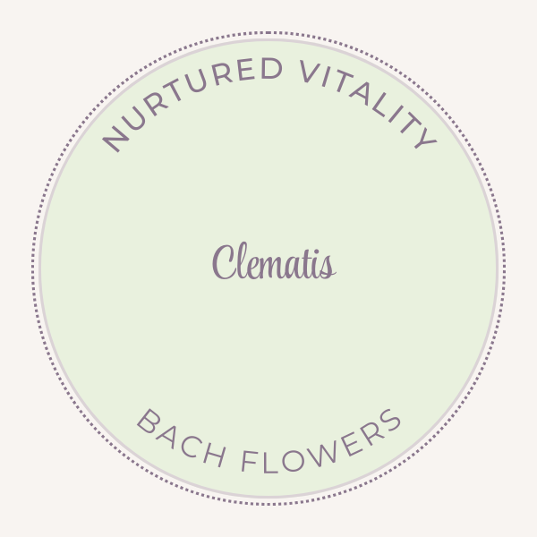 Bach Flower Essence Clematis