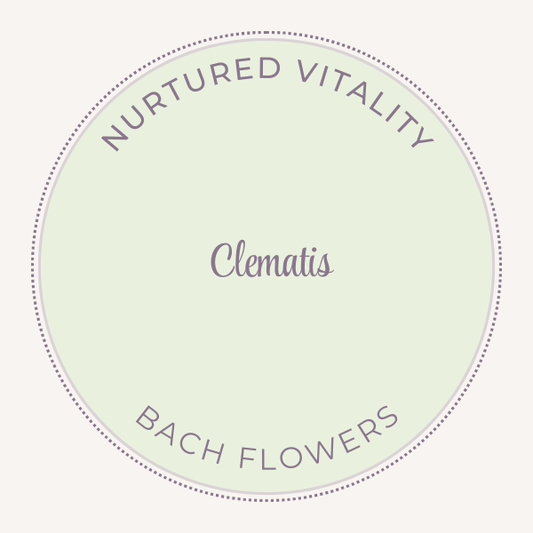 Bach Flower Essence Clematis