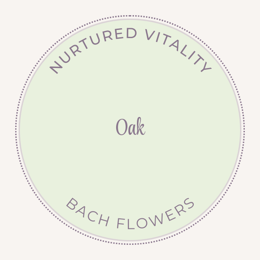 Bach Flower Essence Oak