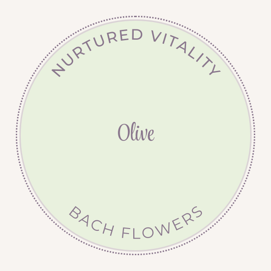 Bach Flower Essence Olive