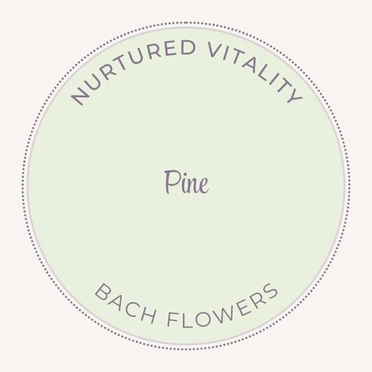 Bach Flower Essence Pine