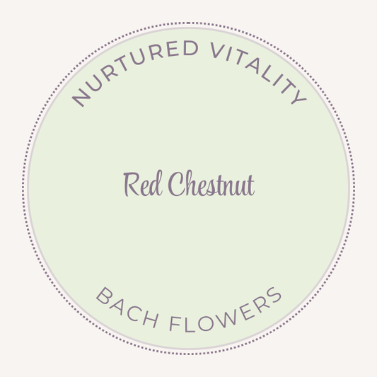 Bach Flower Essence Red Chestnut