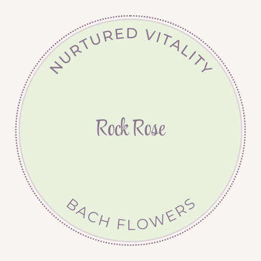 Bach Flower Essence Rock Rose