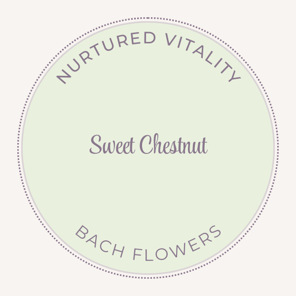 Bach Flower Essence Sweet Chestnut