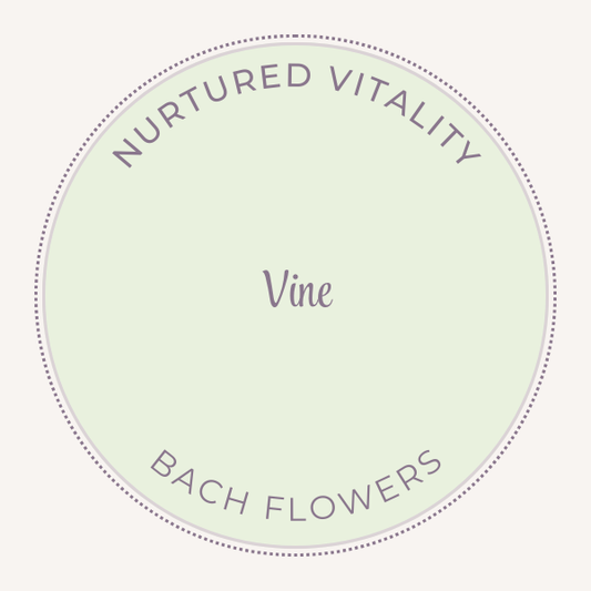 Bach Flower Essence Vine