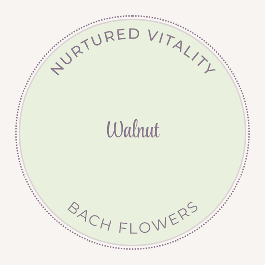 Bach Flower Essence Walnut