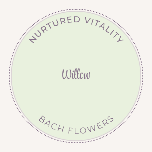 Bach Flower Essence Willow