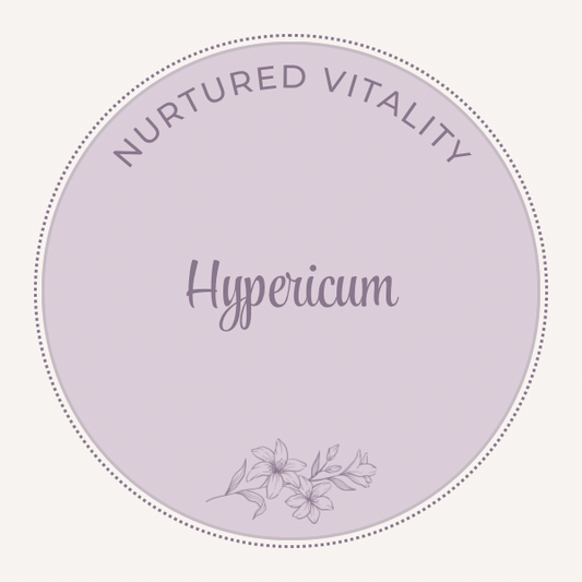 Hypericum perforatum / St Johns Wort