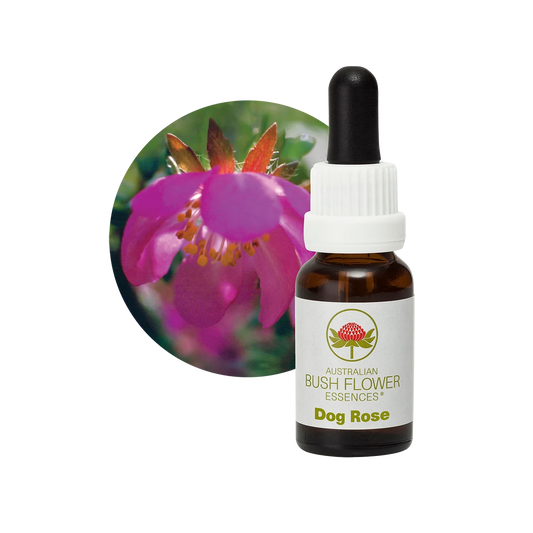 Dog Rose 30ml image 0