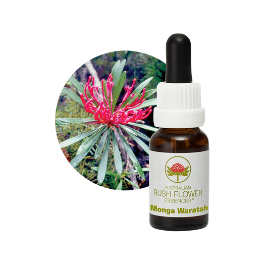 Monga Waratah 30ml image 0