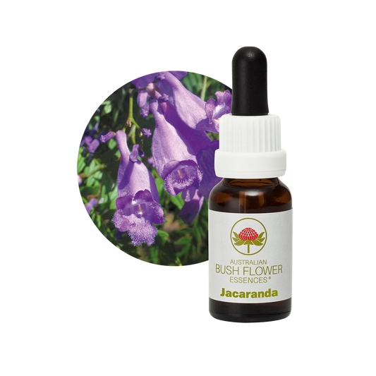 Jacaranda 30ml image 0