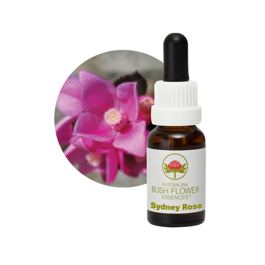Sydney Rose 30ml image 0
