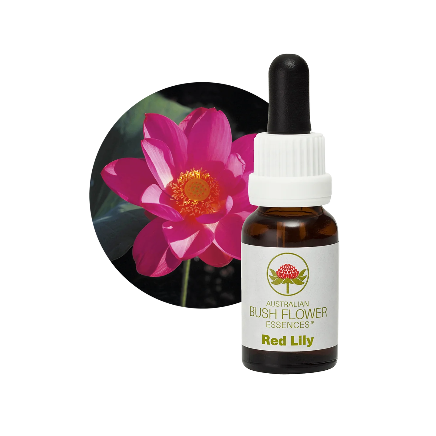 Red Suva Frangipani 30ml image 0