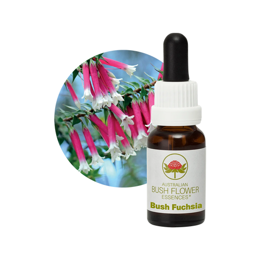 Bush Fuchsia 30ml image 0