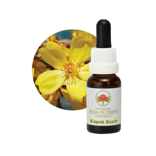 Kapok Bush 30ml image 0