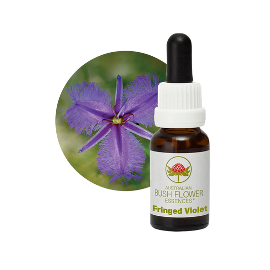 Fringed Violet 30ml image 0
