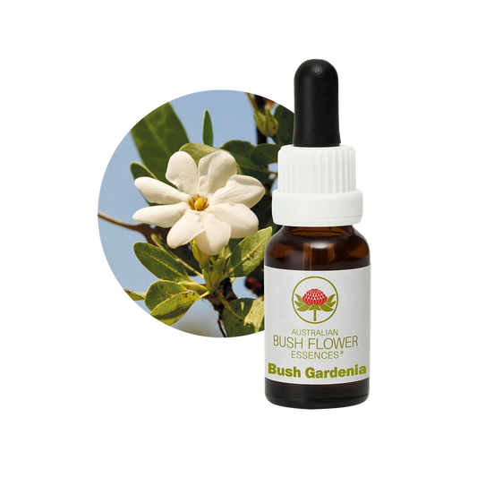 Bush Gardenia 30ml image 0