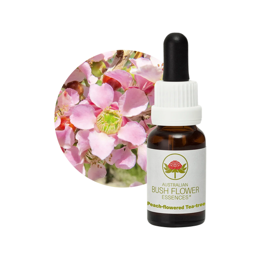 Peach-flowered Tea-tree 30ml image 0