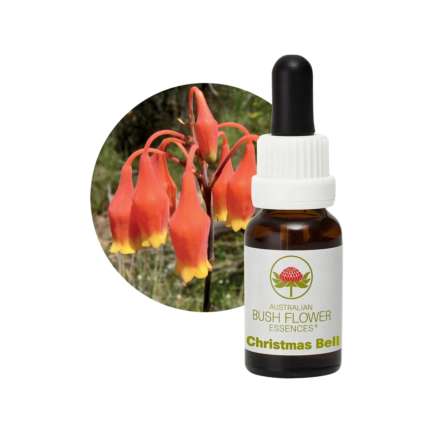 Christmas Bell 30ml image 0