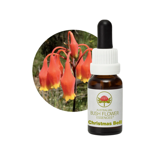 Christmas Bell 30ml image 0