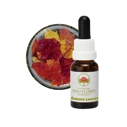 Autumn Leaves 30ml image 0
