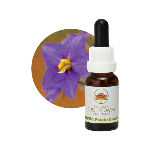 Wild Potato Bush 30ml image 0