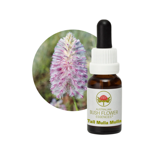 Tall Mulla Mulla 30ml image 0
